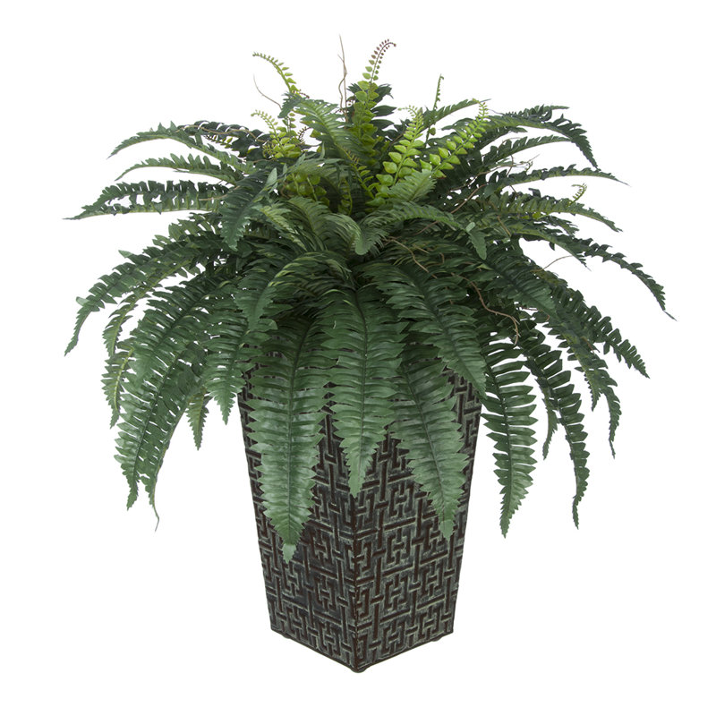 House of Silk Flowers Artificial Fern Floor Plant in Planter & Reviews